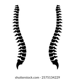 Spinal cord silhouette vector template