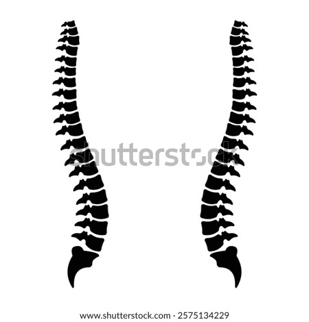 Spinal cord silhouette vector template