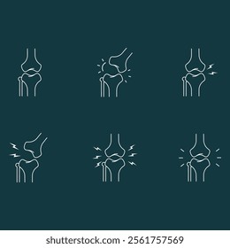 Spinal cord vector icons. Spine icon set. Simple set of spine vector icons. Vector spine icons. Human bone