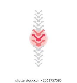 Spinal cord vector icons. Spine icon set. Simple set of spine vector icons. Vector spine icons. Human bone