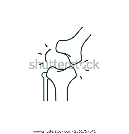 Spinal cord vector icons. Spine icon set. Simple set of spine vector icons. Vector spine icons. Human bone