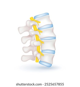 Spinal nerve cord yellow. Vertebral anatomy and disc bone human organ on white background. Medical diagnosis concept. Banner vector EPS10.