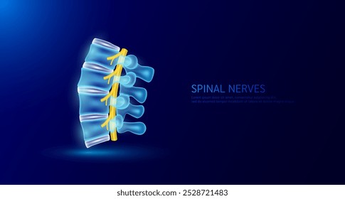 Amarelo na medula espinhal. Anatomia vertebral e disco ósseo órgão humano sobre fundo azul escuro. Conceito de diagnóstico médico. Vetor de faixa EPS10