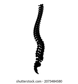Spinal vertebral column spine backbone icon black color vector illustration flat style simple image
