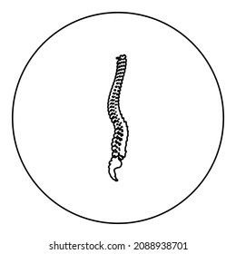 Spinal vertebral column spine backbone icon in circle round black color vector illustration image outline contour line thin style simple