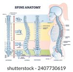 Spine anatomy with detailed back bone medical structure outline diagram. Labeled educational scheme with spinous process, lamina, vertebral canal, thoracic and lumbar body parts vector illustration.