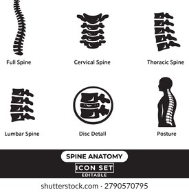 Spine anatomy icon set featuring full spine, cervical, thoracic, and lumbar vertebrae, disc detail, and human posture silhouette for medical, chiropractic, and health design