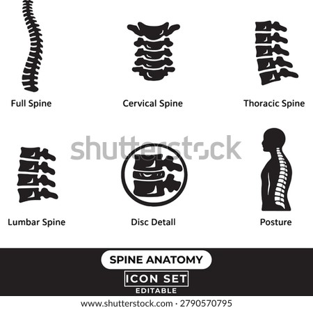 Spine anatomy icon set featuring full spine, cervical, thoracic, and lumbar vertebrae, disc detail, and human posture silhouette for medical, chiropractic, and health design