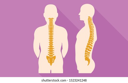 Spine back flat design icon. Illustration of spine back flat design vector icon for web design