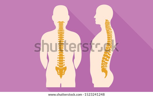 Spine back flat design icon.\
Illustration of spine back flat design vector icon for web\
design