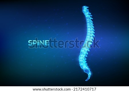 Spine. Back pain spine treatment, Physiotherapy, Diagnostics concept. Abstract Low polygonal wireframe organ for medical drugs, pharmacy and education design. Vector illustration.
