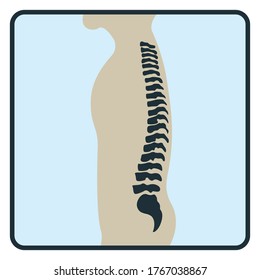 Spine backbone bone, xray concept icon, roentgen human body image isolated on white, flat vector illustration. Skeleton part of man organism, silhouette black biological science.
