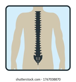 Spine backbone bone, xray concept icon, roentgen human body image isolated on white, flat vector illustration. Skeleton part of man organism, silhouette black biological science.