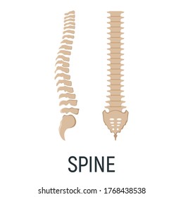 Spine backbone bone, xray concept icon, roentgen human body image isolated on white, flat vector illustration. Skeleton part of man organism, silhouette black biological science.