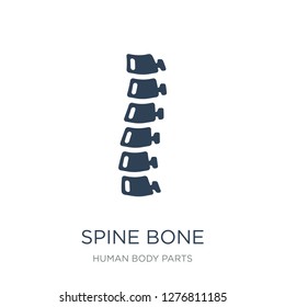 spine bone icon vector on white background, spine bone trendy filled icons from Human body parts collection, spine bone vector illustration