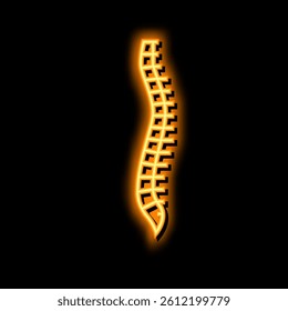 spine bone neon light sign vector. spine bone illustration