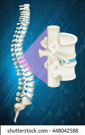 Hueso de la columna vertebral en la ilustración de fondo azul