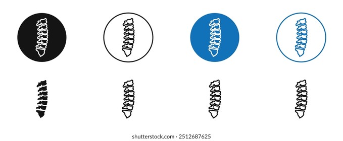 Hueso de la columna vertebral en conjunto en color negro y azul