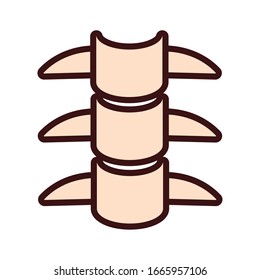 spine bones body human part flat style vector illustration design