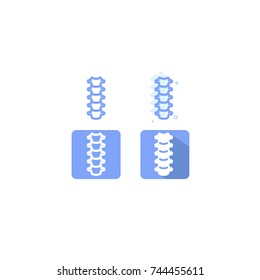 spine diagnostic blue icons used in hospital. on white background. web. Symbols. vector illustration. Medical