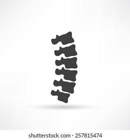 15,581 Spine Drawing Images, Stock Photos & Vectors | Shutterstock