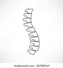 Spine diagnostics symbol design