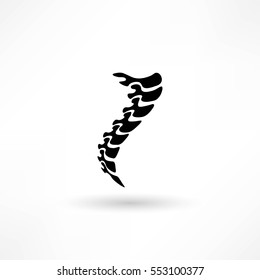 Spine diagnostics symbol design
