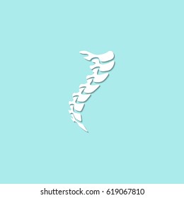 Spine diagnostics symbol design