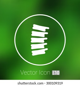 Spine diagnostics symbol design spine icon vector.
