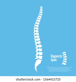 Spine diagnostics symbol or icon illustration