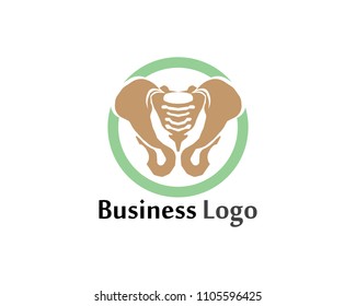 Spine diagnostics symbol logo template vector illustration design