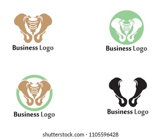 Spine diagnostics symbol logo template vector illustration design