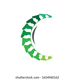 Spine diagnostics symbol logo template vector illustration design