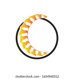 Símbolo de diagnóstico de columna plantilla de logotipo ilustración vectorial diseño