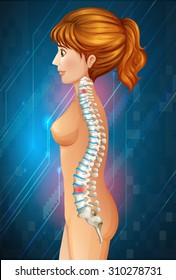 Spine diagram showing back pain illustration