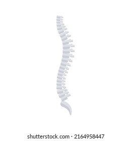 Spine flat icon isolated on white background. Vector illustration. Backbone symbol, chiropractic clinic sign, back vertebrae, spinal cord. Human anatomy logo