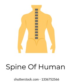 Spine , flat vector icon