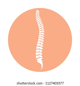 Spine human graphic icon. Spinal column sign in the circle isolated on white background. Vector illustration 