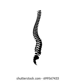 Spinal Vertebral Column Spine Backbone Icon Stock Vector (Royalty Free ...