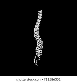 Spine icon .