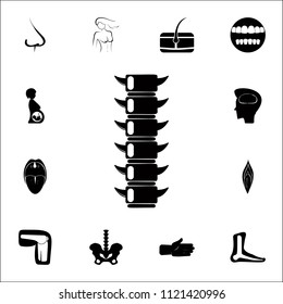spine icon. Detailed set of Human parts icons. Premium quality graphic design sign. One of the collection icons for websites, web design, mobile app on colored background