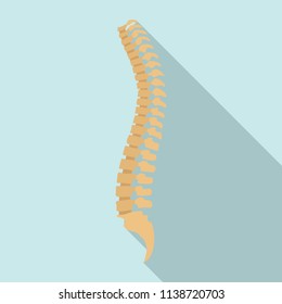 Spine icon. Flat illustration of spine vector icon for web design