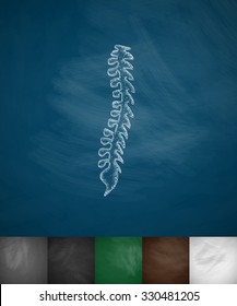 spine icon. Hand drawn vector illustration. Chalkboard Design