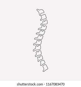 Spine icon line element. Vector illustration of spine icon line isolated on clean background for your web mobile app logo design.