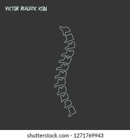 Spine icon line element. Vector illustration of spine icon line isolated on clean background for your web mobile app logo design.