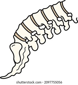 Spine lumbar. Vector outline illustration.