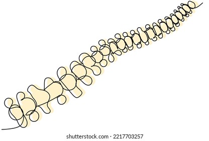 Spine In One Line With A Yellow Silhouette On A White Background. Human Back Health Concept. Cartoon Vector Spine. Stock Graphics.