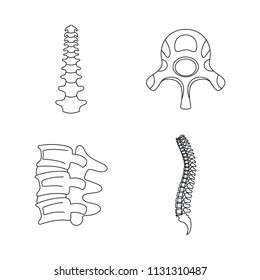 Spine orthopedic vertebra icons set. Outline illustration of 4 spine orthopedic vertebra vector icons for web