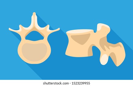 Spine section icon. Flat illustration of spine section vector icon for web design