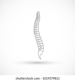 Spine shape clinic medicine chiropractic backbone health illustration